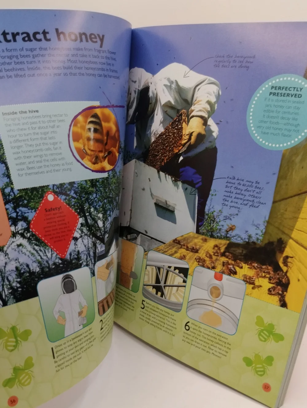 How to Do Everything Paperback Book DIY Art Craft Learning Summer Fun 2016
